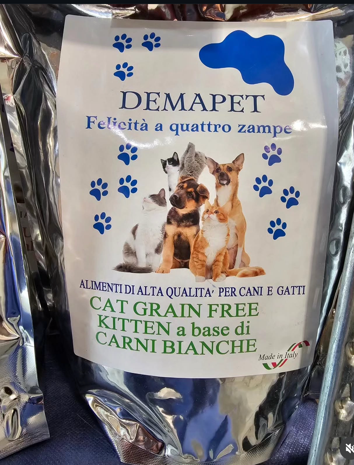 CANI E GATTI